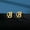 Letter B, variant on MATROOY 1Pair Stainless Steel Lucky A-Z 26 Alphabet Letter Earring Stud Jewelry Gift-Letter E