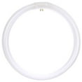 thumbnail image 2 of Diodesy FC12T9 Circline Fluorescent Lamps, 12-Inch Size, 32 Watts, 2100 Lumens, 4-Pin Base (G10q), 10,000 Life Hours, 41K - Cool White, 2 of 2