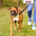 thumbnail image 5 of Halti OptiFit Nylon Padded No Pull Dog Headcollar, Black, Large, 5 of 5