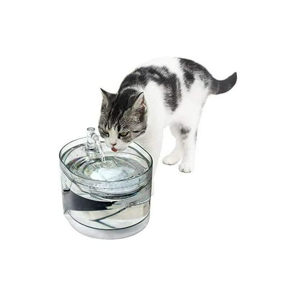 Cat water on sale fountain walmart canada