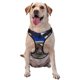 thumbnail image 1 of Balery Astronaut in Outer Space Arnés para Perros Grandes Antitirones, Arnés con Correa para Gato, Arnés Tipo Chaleco para Perros Pequeños-Medium, 1 of 6