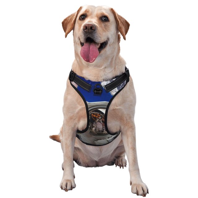 Balery Astronaut in Outer Space Arnés para Perros Grandes Antitirones, Arnés con Correa para Gato, Arnés Tipo Chaleco para Perros Pequeños-Medium