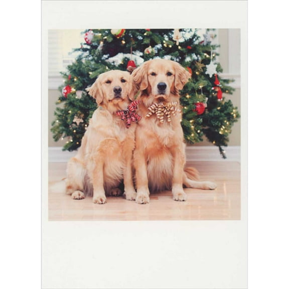 Palm Press Two Golden Retrievers Wearing Bows in Front of Decorated Trees Box of 10 Happy Holidays Cards