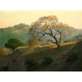 thumbnail image 2 of OLeary, Kathy 18x15 White Modern Wood Framed Museum Art Print Titled - Buckeye Glow, 2 of 4