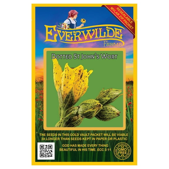 Everwilde Farms - 2000 Dotted St. John's Wort Native Wildflower Seeds - Gold Vault Seed Packet