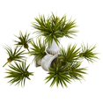 thumbnail image 1 of Nearly Natural 6111-S12 Mini Agave Épineux Plante Succulente - Ensemble de 12, 1 of 2