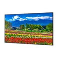 thumbnail image 3 of NEC MultiSync M751-AVT3 - 75" Diagonal Class M-Series LED-backlit LCD display - with TV tuner - digital signage - 4K UHD (2160p) 3840 x 2160 - HDR - direct-lit LED, 3 of 8