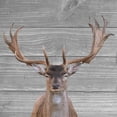 thumbnail image 2 of Phillip, Jamie 15x15 Black Ornate Wood Framed with Double Matting Museum Art Print Titled - A Day In The Wild, 2 of 4