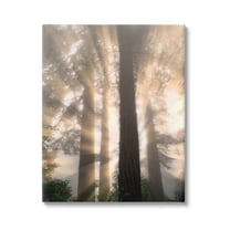 Stupell Industries Sun Rays Woodland Trees View Landscape Photography Gallery Wrapped Canvas Print Wall Art