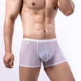thumbnail image 2 of DPTALR Men's Boxer Three Points Shorts Mesh Sexy Breathable Panties, 2 of 9