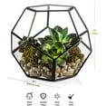 thumbnail image 5 of Kook Geometric Glass Terrarium, For Succulents and Air Plants, Black, 5 of 5