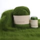 thumbnail image 1 of Bufandas Mano Hilado Hilado Bola Set Hat Socks Crochet Hilo Kit 2 Strand Winter Winter Suministros Accesorio de costura Verde Oscuro 50g 20g Scienceny HA010947-22, 1 of 6