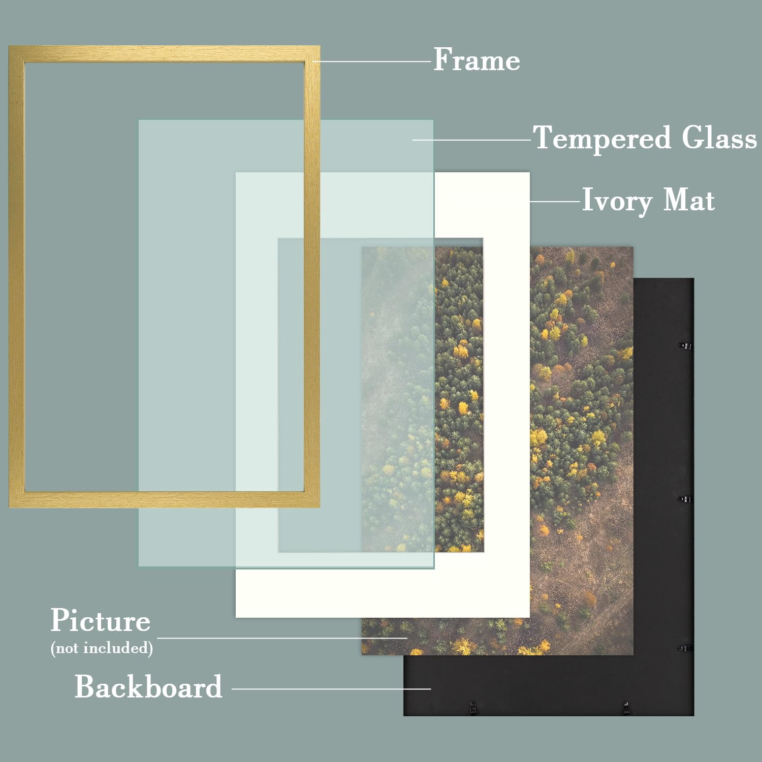Golden State Art 16x24 Wall Display Picture Frame Matted to 12x18 with High Definition Glass, Gold, 1 Count