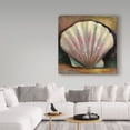 thumbnail image 3 of Trademark Fine Art 'Scallop Pink' Canvas Art by Hall Groat Ii, 3 of 3