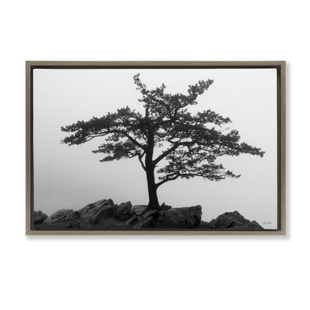 Stupell Industries Lone Tree on Rocks Landscape & Nature Photography Brown Floater Framed Canvas Art Print Wall Art 25 x 17
