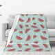 thumbnail image 1 of Balery Watermelon Manta de Felpa Suave y Acogedora – Cobija de Franela Aterciopelada para Cama, Lavable y Cálida para Sofá, Mascotas, Transpirable-80"x60", 1 of 7