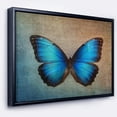 thumbnail image 1 of Designart - Papillon Vintage Bleu - Impression sur Toile Encadrée d'Art Floral, 1 of 4