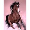 Cuadros Decorativos Kit de pintura de diamantes 5D DIY caballo corriendo mosaico de diamantes redondo completo Sywqhk Nuevos Originales