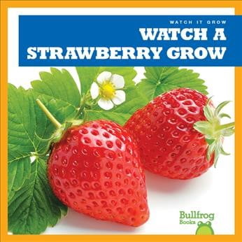 Watch a Strawberry Grow (Best Way To Grow Strawberries Vertically)