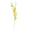 thumbnail image 4 of 1 Pcs Artificial Oncidium Orchid Flower, 98cm/38.6 Inch Long Stem Yellow Phalaenopsis Fake Plant for Wedding Centerpieces, Home Garden Decor, 4 of 7