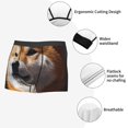 thumbnail image 3 of Susaid Regal Shiba Inu Print Men's Mesh Boxer Briefs Cooling Breathable Sports Underwear Wide Waistband Boxer Briefs W/Fly-Medium, 3 of 5