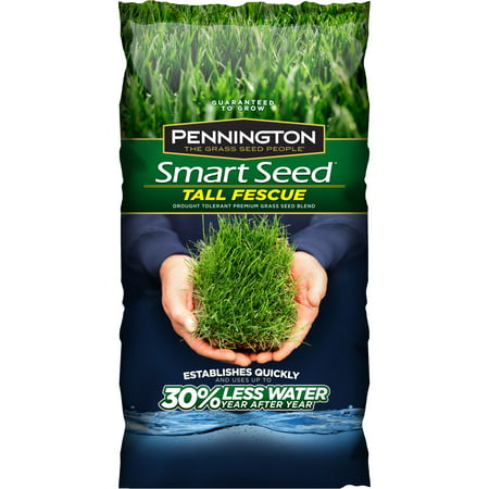 Pennington Smart Seed Tall Fescue Grass Seed, 3 (Best Fescue Grass Seed Brand)