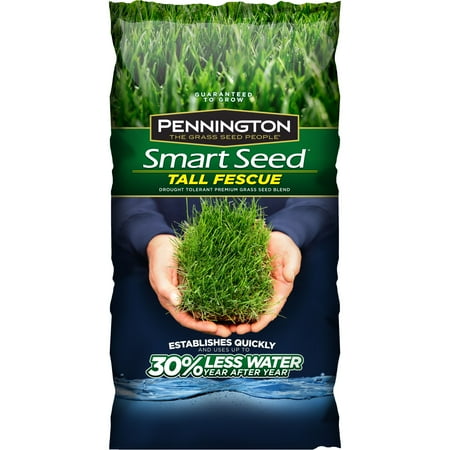 Pennington Smart Seed Tall Fescue Grass Seed, 3 (Best Tall Fescue Grass Seed Brand)