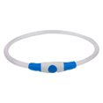 thumbnail image 1 of Collar para perro LED, recargable por USB, collar para perro iluminado, seguridad nocturna, 1 of 5