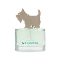 thumbnail image 2 of Ferrioni Green For Her 100Ml EDT Spray Ferrioni, 2 of 4