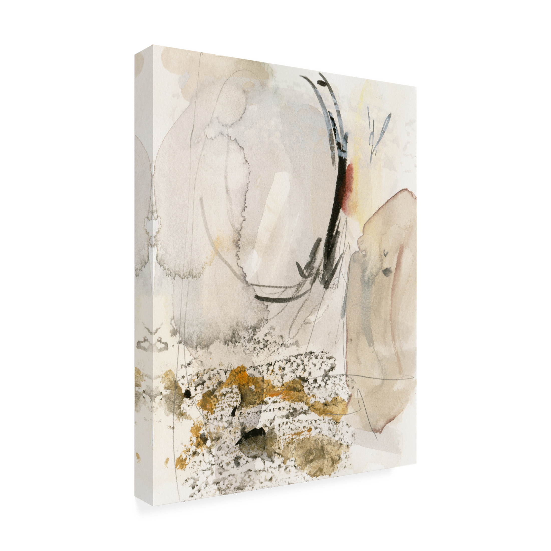 Trademark Fine Art Melissa Wang Sands & Sediments I Canvas Wall Art