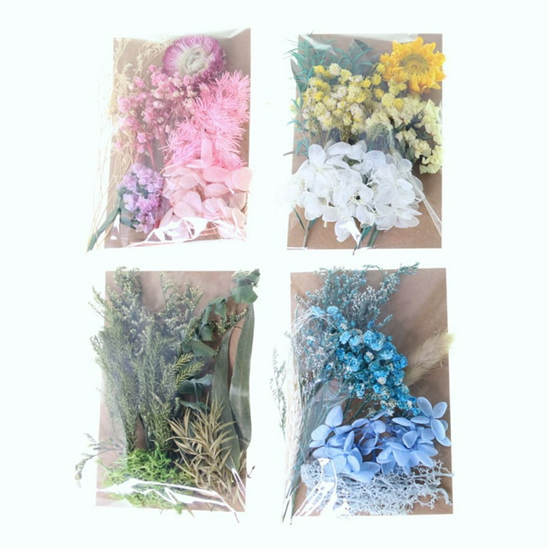 DDcafor Natural Dried Pressed Flowers 75 pcs Mixed Multiple Real Dried  Flowers Leaves for Making Art Floral Decors DIY Candle Resin
