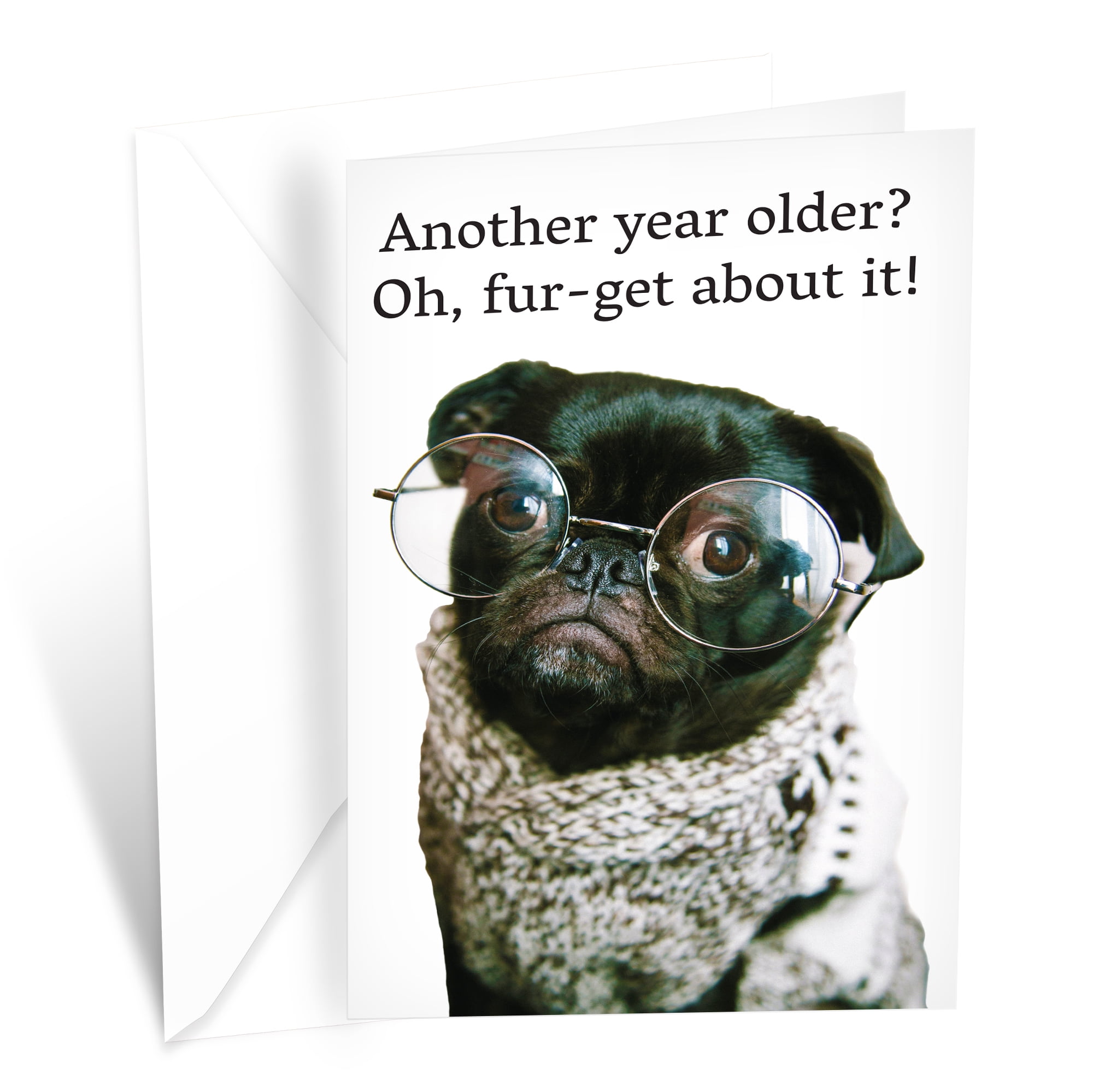 Funny Dog Birthday Card Pun With Pug | Made in America | Eco-Friendly |  Thick Card Stock with Premium Envelope 5in x  | Packaged in  Protective Mailer | Prime Greetings 