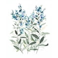 thumbnail image 3 of Robinson, Carol 12x14 Black Modern Framed Museum Art Print Titled - Delicate Blue Botanical II, 3 of 5