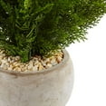 thumbnail image 2 of Nearly Natural 2ft. Cedar Artificial Plant in Sand Colored Bowl, 2 of 2