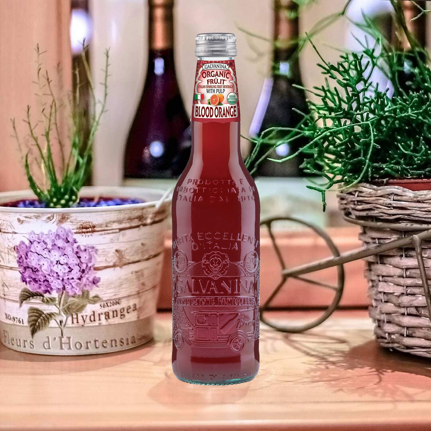 Galvanina - Blood Orange With Pulp - Premium Organic Italian Sparkling Fruit Beverage - 12 fl oz (6 Glass Bottles)