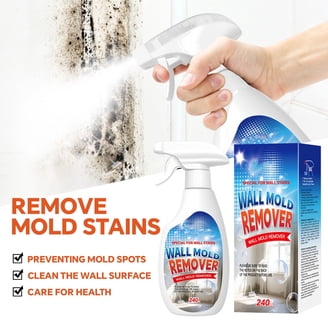 Wet And Forget 800006, 1 Gallon Concentrate, 2 pack - Walmart.com