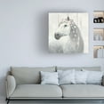thumbnail image 3 of James Wiens 'Spirit Stallion II on wood Square' Canvas Art, 3 of 3