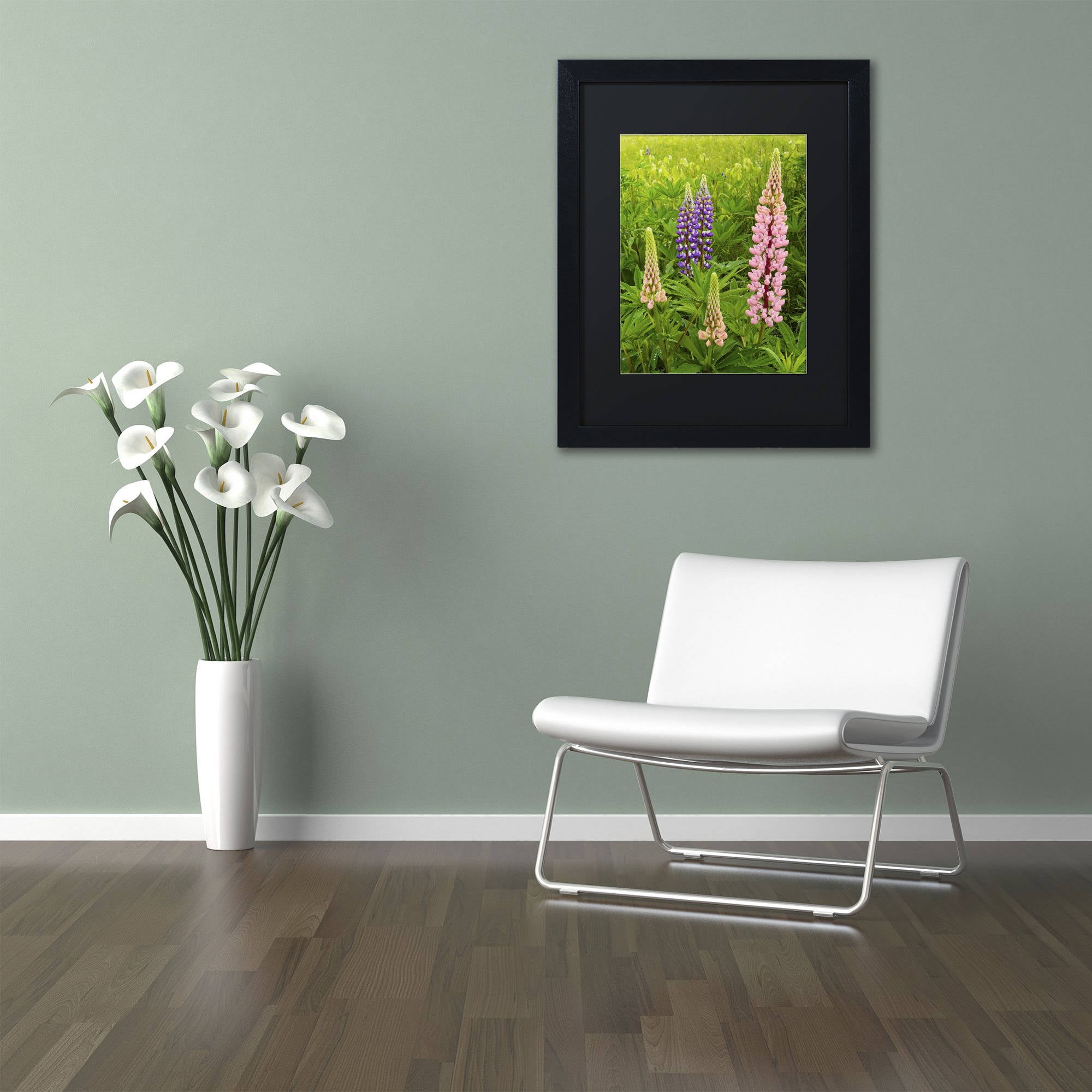Trademark Fine Art "Lupine Family" Canvas Art by Michael Blanchette Photography Black Matte, Black Frame