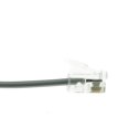 thumbnail image 2 of CableWholesale.com - Phone cable - RJ-11 (6 pin) (M) to RJ-11 (6 pin) (M) - 7 ft - flat - silver satin, 2 of 4