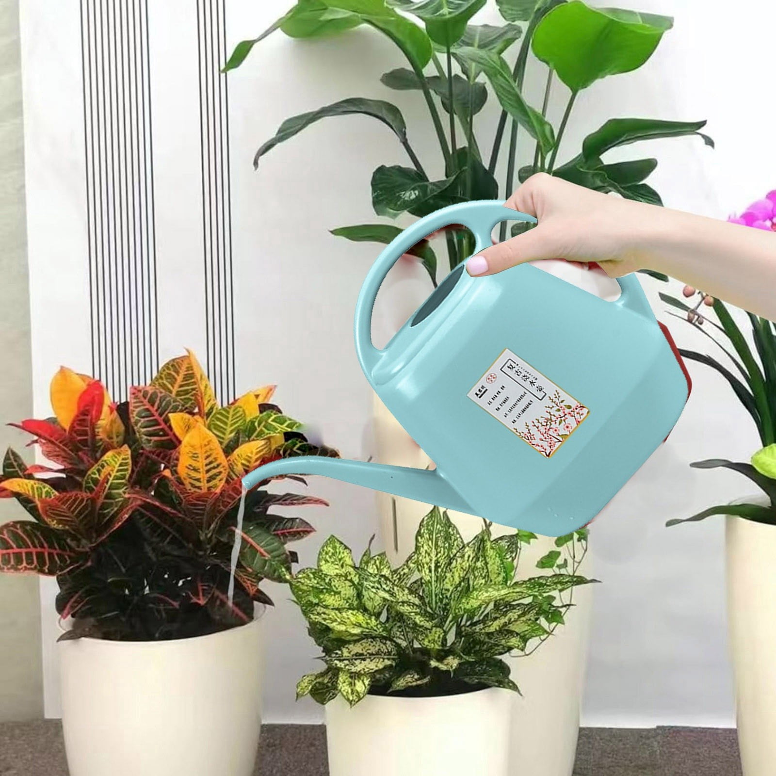 1 Gallon Plastic Watering Can with Handle and Long Spout，C
