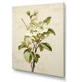 thumbnail image 2 of Designart "Beige Apple Blossom Minimalism I" Apple Blossom Canvas Wall Art, 2 of 7