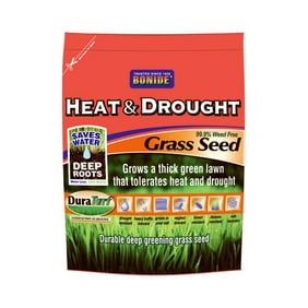 Scotts Grass Seed - Walmart.com