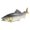 C, variant on 30 Cm Rot 30 Cm Rot 30 Cm Rot 30 Cm Rot 30 Cm Rot Fish Toys Ocean Animals Toys Goldfish Fish Tank Decorations Children Toys Tots Toys Toys Adult Toys Mini Toys Fish Fish Fish