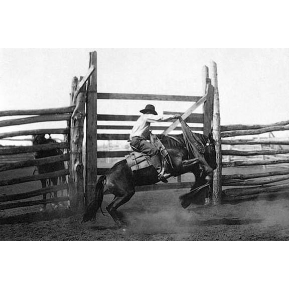 Bronco Busting- Fine Art Canvas Print (20" x 30")