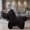 Black, variant on Zeiwohndc Decorative Horse Shape Throw Pillow Furry Animal Toy For Living Room Sofa Car