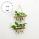 thumbnail image 4 of Decoración de florero de terrario hidropónico Zulema Soporte de madera 20x50cm, 4 of 7