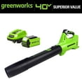 thumbnail image 4 of Greenworks 40V 120 Mph at 450 Cfm Axial Blower with 2.5Ah Battery & Charger 2411902, 4 of 12