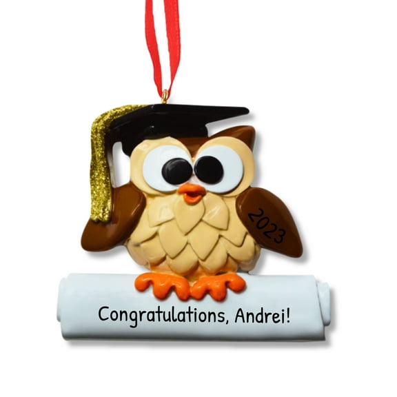 Ornaments by Elves Personalized Wise Owl Class of 2024 Graduation Ornament