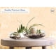 thumbnail image 2 of Set de jarrones de cristal Royal Imports redondos decorativos transparentes (2), 2 of 7