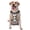 Without Accessories, variant on Vsdgher Palm Trees Zebra Pattern Dog Harness,No Pull Pet Harness with Soft Padded Handle,Adjustable Reflective Vest with 2 Buckles,4 Slide Buckles,S-XL